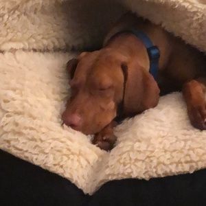 Meet your Posher, Connor